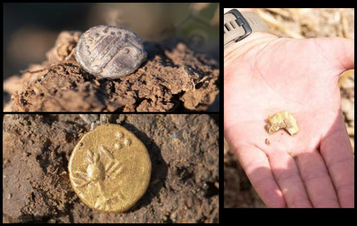 Клад редких монет железного века: золотые и серебряные монеты найдены в Чехии