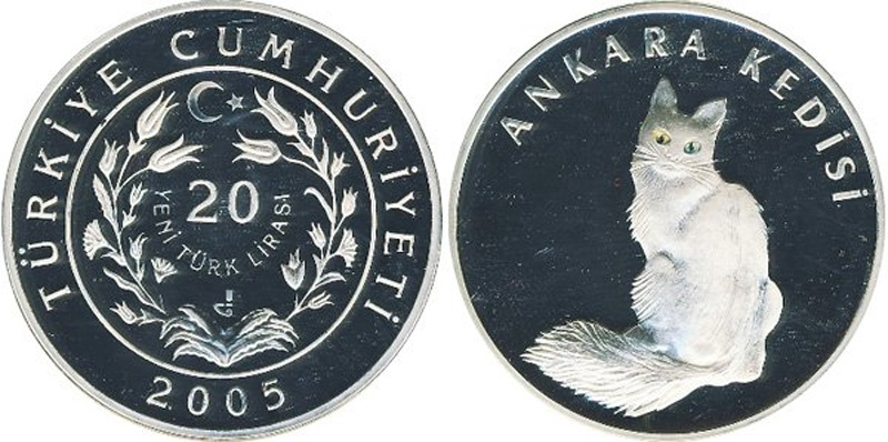 Кошка с разноцветными глазами на монете Турции