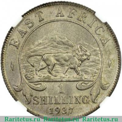 Реверс монеты 1 шиллинг (shilling) 1937 года   Британская Восточная Африка