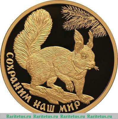 Реверс монеты 100 рублей 2023 года СПМД Белка обыкновенная proof