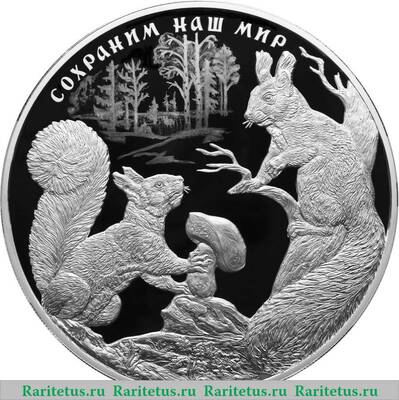 Реверс монеты 100 рублей 2023 года СПМД Белка обыкновенная proof