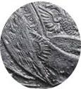Деталь монеты 1 рубль 1728 года  IМПЕРАТОЬ