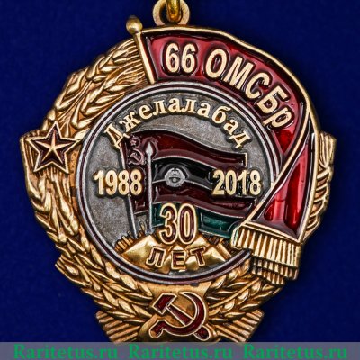 Медаль "66 ОМСБр к 30-летию вывода войск из Афганистана. Джелалабад" 2018 года, Российская Федерация