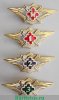 Знак "Классность ФСИН", Российская Федерация