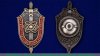 Знак «Ветеран подразделений особого риска», Российская Федерация