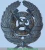 Знак «Общество спасания на водах (ОСНАВ) СССР. «За спасение утопавших»» 1928 - 1931 годов, СССР