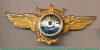 Нагрудный знак военного штурмана-снайпера 1939 года, СССР