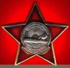 Орден «За заслуги» (РСВА) 2004 года, Российская Федерация