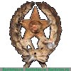 Знак «Командир — инженер, военный электрик РККА» 1917-1918 годов, СССР