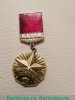 Знак ««Молодой гвардеец пятилетки» ЦК ВЛКСМ. Третьей степень» 1981 - 1985 годов, СССР