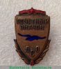 Знак «Почетный значок ДСО «Буревестник»» 1930 года, СССР