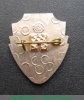 Знак "Торпедо Москва", СССР, Российская Федерация