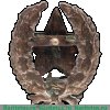 Знак красного командира пулеметных частей РККА 1918 - 1922 годов, СССР