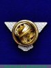 Фрачный знак спецсвязи РФ, Российская Федерация