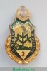 Знак "Варшавский договор. Военный альпинист" 1965 - 1989 годов, Румыния