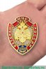 Нагрудный знак МЧС РФ «Ветеран МЧС России» 2010 года, Российская Федерация