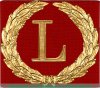Знак отличия «За безупречную службу», Российская Федерация