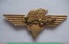 Знак летчика-космонавта 2-го класса, СССР