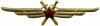 Знак "Специалист инженерно-авиационной службы (ИАС)", СССР