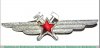 Знак "Специалист инженерно-авиационной службы (ИАС)", СССР