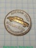 Знак «ДОСААФ СССР. Водитель автомобиля» 1971 - 1980 годов, СССР