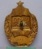 Знак «Отличник народного просвещения Грузинской ССР» 1950 года, СССР