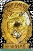 Знак «Отличный вагонник» 1943 года, СССР