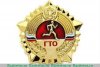 Значок "ГТО" 2013 года, РФ