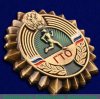 Значок "ГТО" 2013 года, РФ