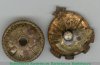 Членский знак ДСО «Урожай» 1950 года, СССР