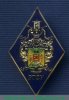 Знак «Российский государственный социальный университет», Российская Федерация