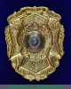Знак "Участник боевых действий в Чечне", Российская Федерация