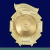 Знак "Гвардия Россия", Российская Федерация