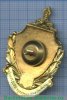 Знак «Воронежский институт МВД России», Российская Федерация