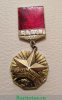 Знак ЦК ВЛКСМ «Молодой гвардеец 11-й пятилетки» 1981-1985 годов, СССР