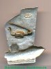 Знак «150 лет паровому судоходству на Неве. 1815-1965. Северо-западное речное пароходство (СЗРП)», СССР