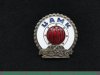 Знак «Центральный автомотоклуб СССР (ЦАМК СССР)» 1960 года, СССР