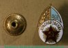 Членский знак ДСО «Красная звезда». Тип 1 1930 года, СССР