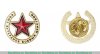 Знак «Союз ветеранов боевых действий», Российская Федерация