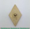 Знак "Выпускник РАНХиГС", Российская Федерация