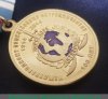 Медаль «100 лет международному полицейскому сотрудничеству» МВД РФ, Российская Федерация