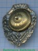 Знак «Отличный пожарник», СССР