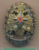 Знак «Почетный знак МЧС России», Российская Федерация