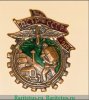 Знак «ПСТР. Профессиональный союз транспортных рабочих» 1920 года, СССР