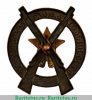Знак «За отличную стрельбу. Грузинская ССР» 1920 года, СССР
