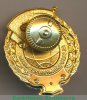 Знак «За безаварийный налет часов. Пилот», Российская Федерация