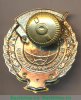 Знак «За безаварийный налет часов. Пилот», Российская Федерация