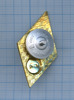 Знак (ромб) об окончании гуманитарного ВУЗа, Аукцион: Anumis от 1 RUB