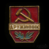 Знак «Дружинник», Аукцион: Anumis от 1 RUB