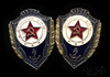 Лот знаков «Отличник ВМФ», 2 шт, Аукцион: Anumis от 1 RUB